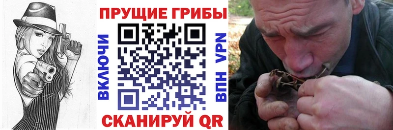 Галлюциногенные грибы MAGIC MUSHROOMS  купить закладку  mega ТОР  Архангельск 